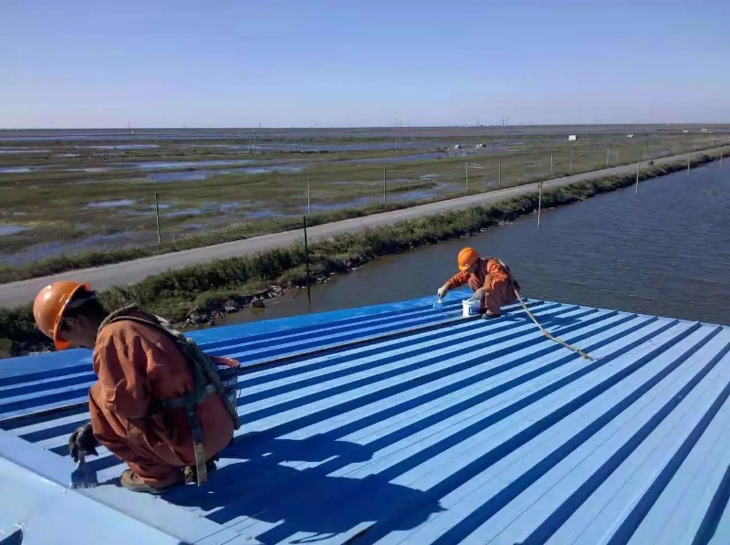 河口钢结构屋面漏水原因